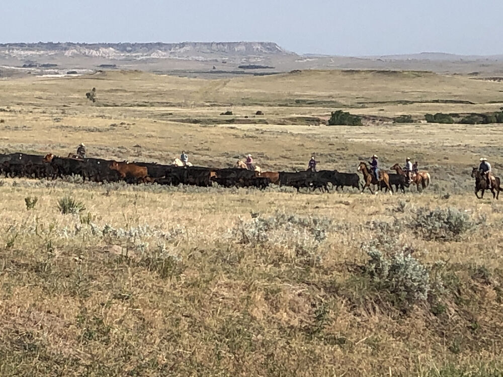 Raising a ranch family with values on Broken Arrow Angus Ranch